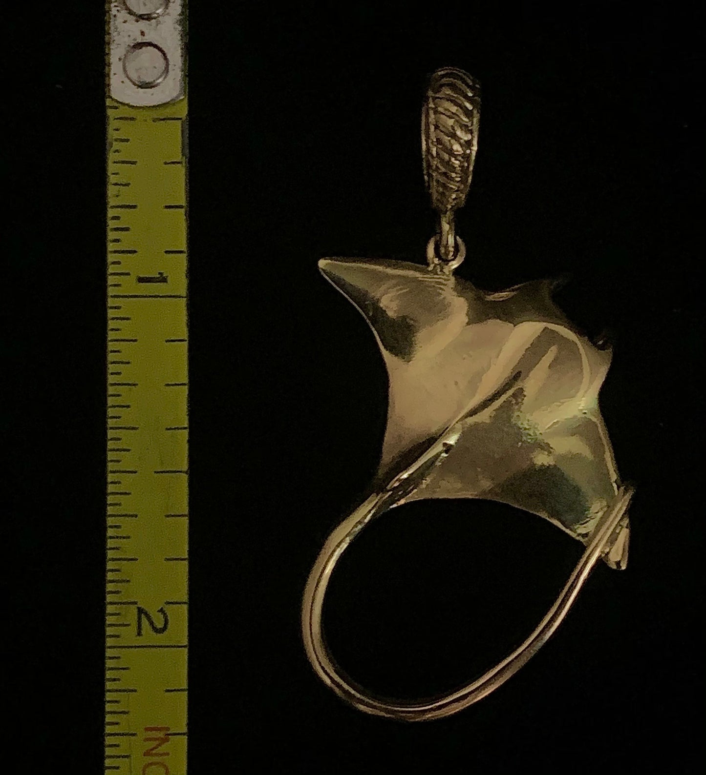 Manta Ray - Large