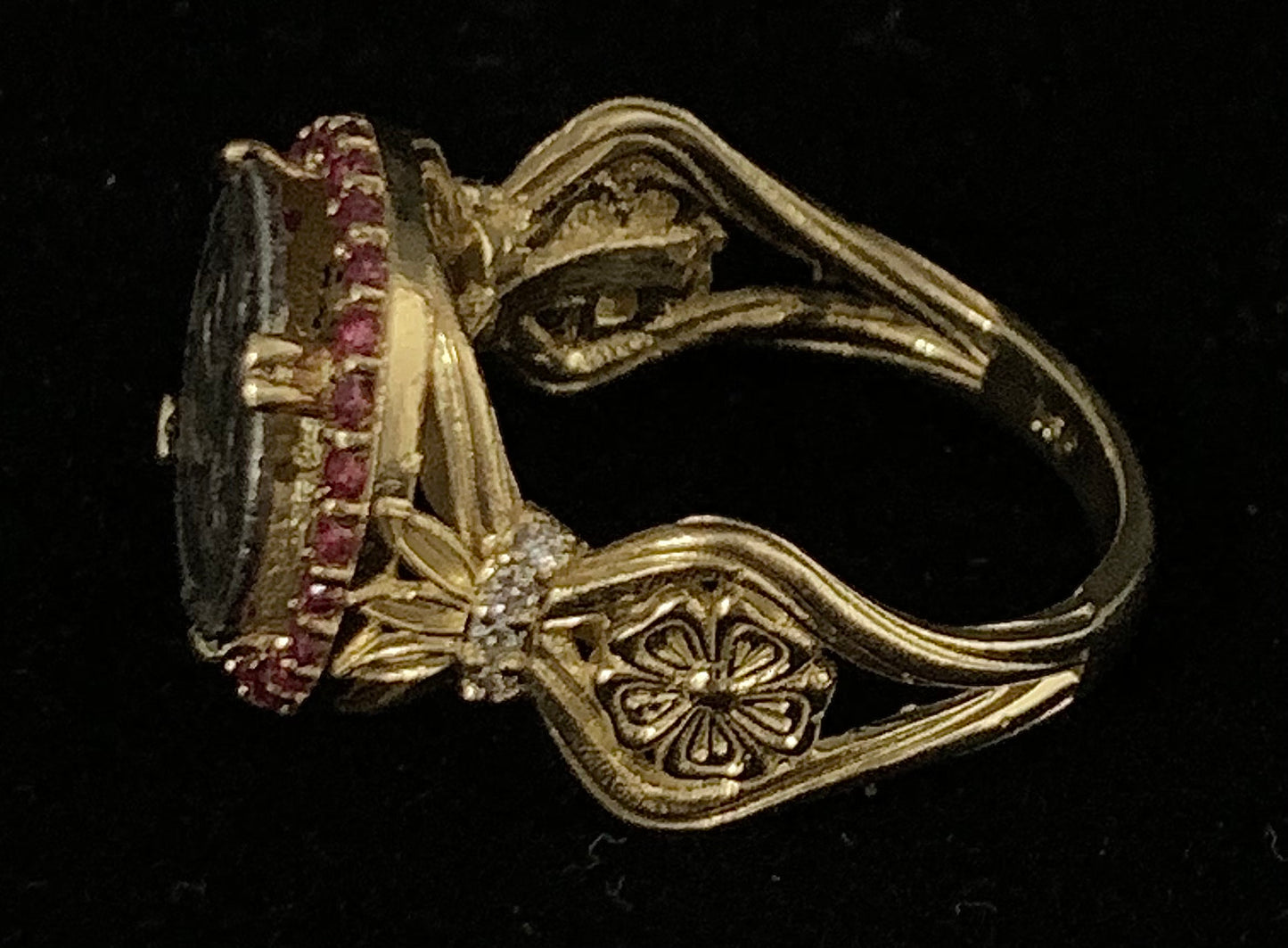 Lion Surrounded by Rubies