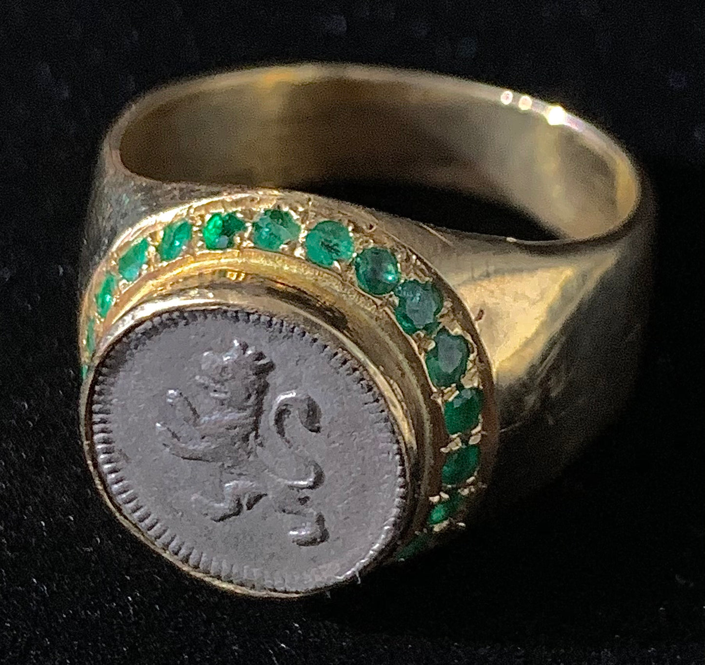 Lion Surrounded By Emeralds