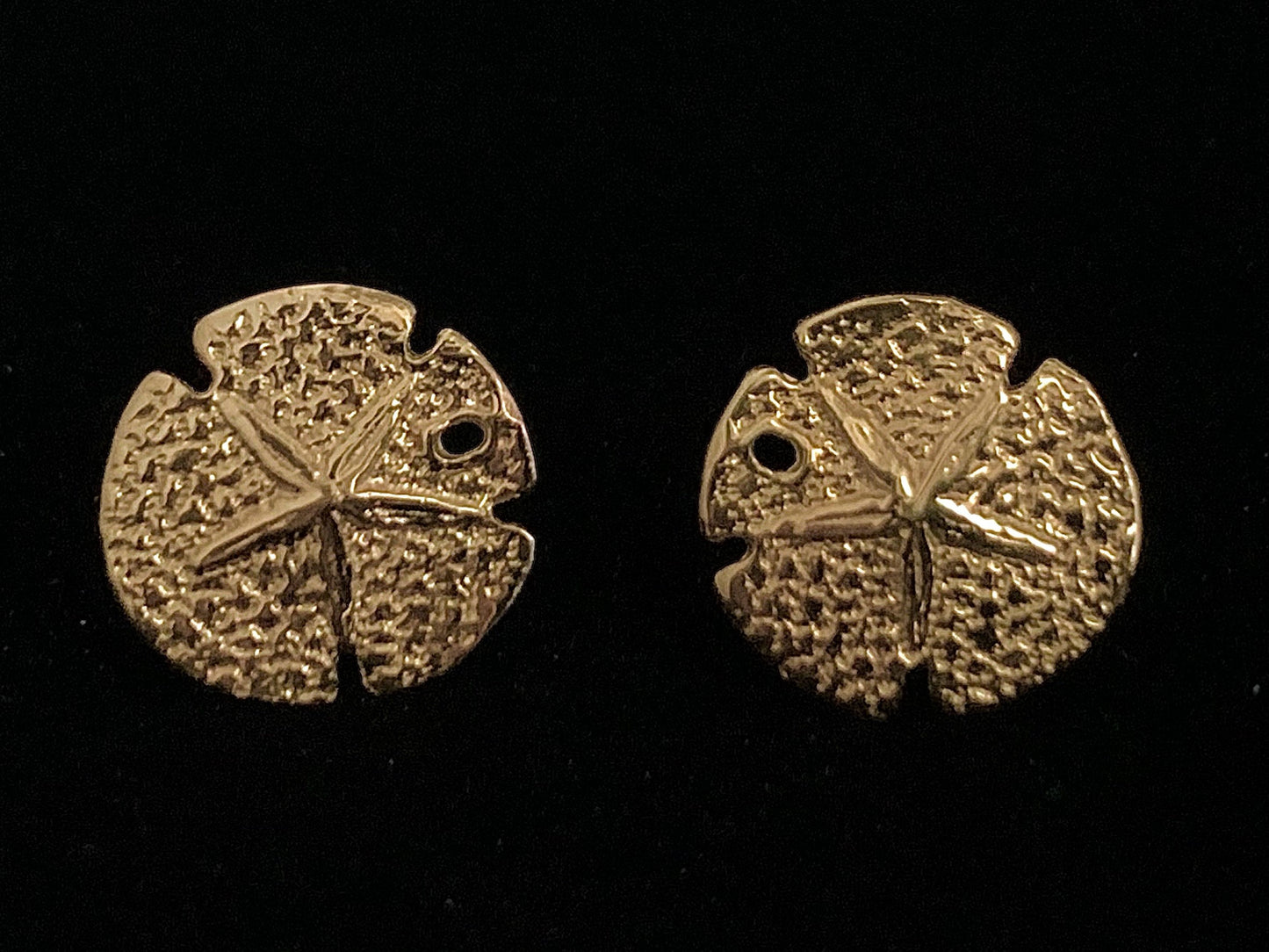 Sand Dollar Earrings