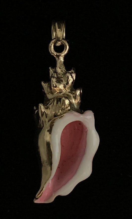 Conch Shell - Smooth Large